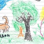 Fotos: crianças resgatadas na Amazônia colombiana desenham cachorro Wilson