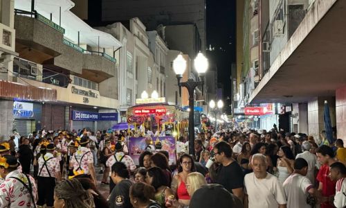Desfile do Pintinho de Ouro em 2024 Carnaval de Juiz de Fora Foto Divulgação