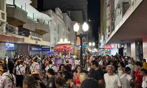 Desfile do Pintinho de Ouro em 2024 Carnaval de Juiz de Fora Foto Divulgação