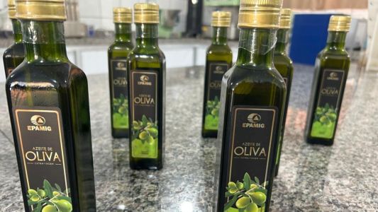 Azeite extravirgem da Epamig