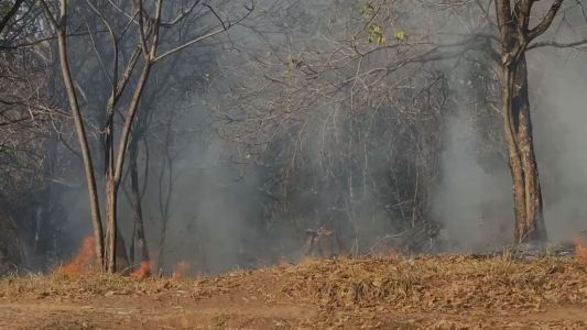 incêndio em mata próxima ao Mineirão