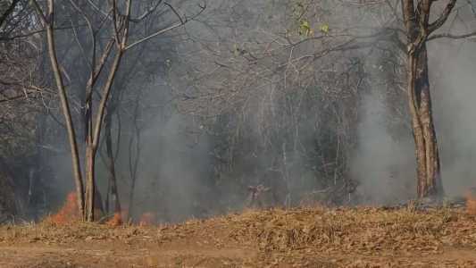 incêndio em mata próxima ao Mineirão