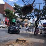 Tronco de árvore suspenso e preso em fiação ameaça pedestres há uma semana em BH