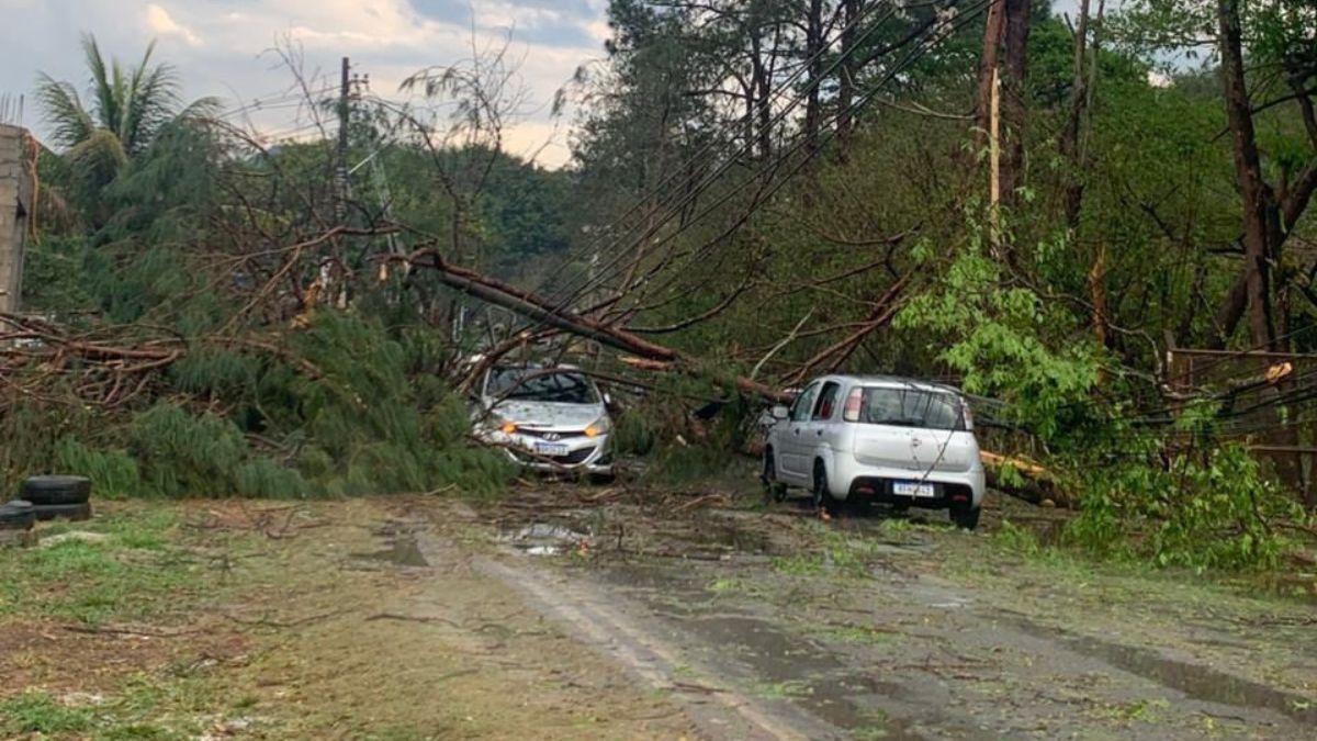 Bombeiros retiram ocupantes de carro atingido por árvores durante chuva na Grande BH