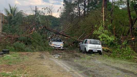 Bombeiros retiram ocupantes de carro atingido por árvores durante chuva na Grande BH