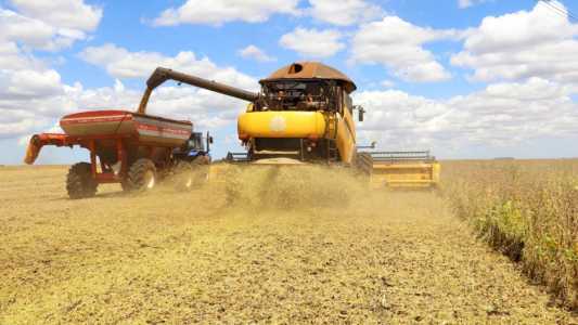 Valor da produção agrícola brasileira cai pelo segundo ano seguido