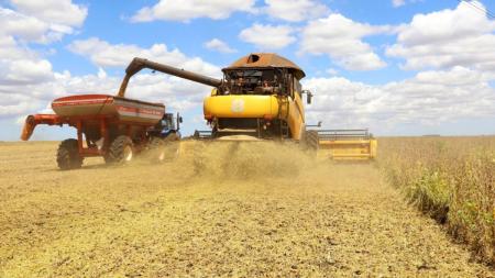 Valor da produção agrícola brasileira cai pelo segundo ano seguido