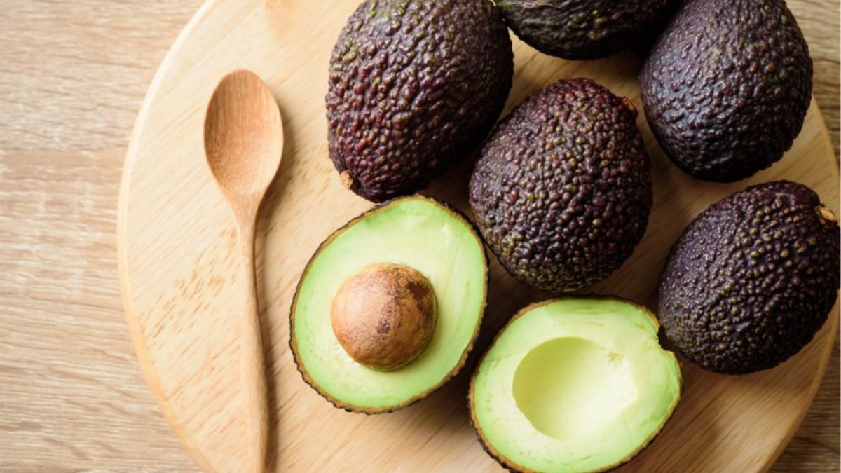 São Paulo amplia a exportação de avocado para Chile e Japão