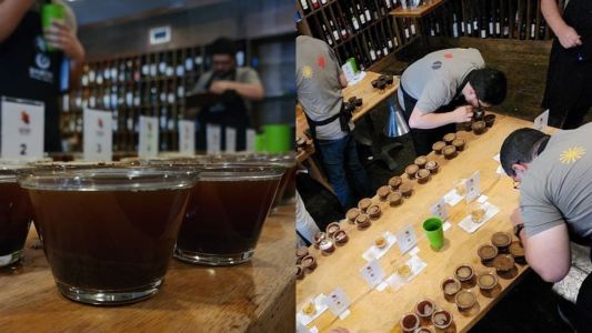 Especialistas jurados provando cafés