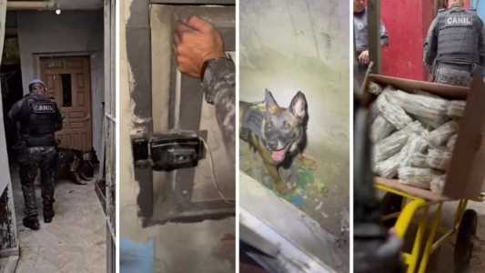 Cão da PM encontra cofre com drogas em passagem secreta em SP