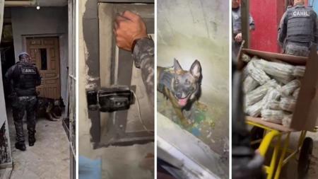 Cão da PM encontra cofre com drogas em passagem secreta em SP