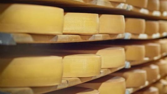 SP lança a Rota do Queijo Paulista para impulsionar produtores locais