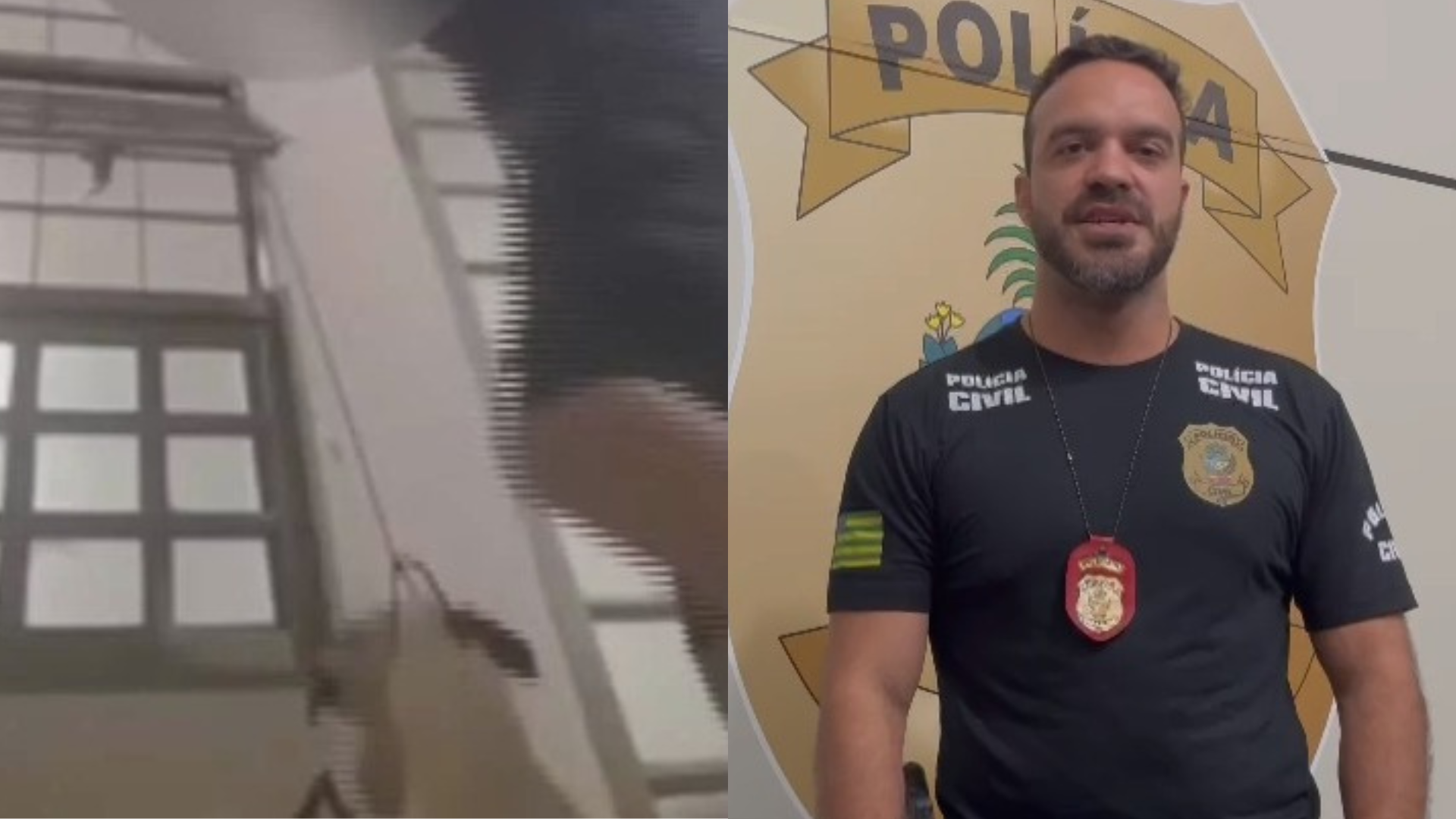 Adolescentes são investigados por enforcar cão e divulgar vídeo em Goiás