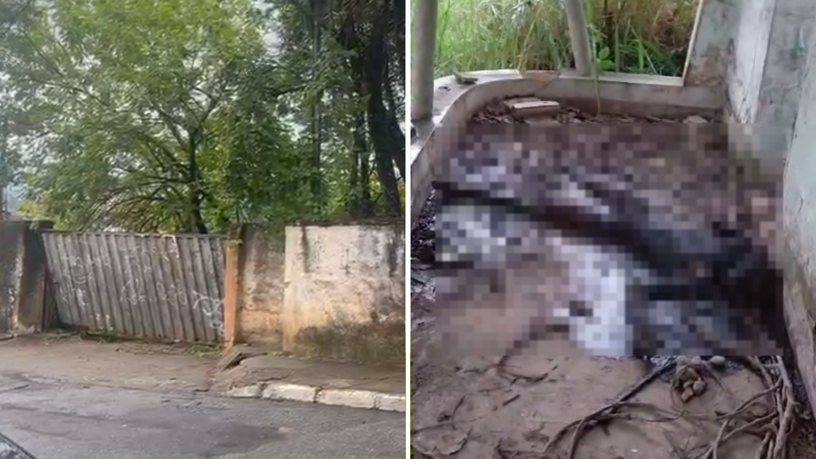 Corpo em avançado estado de decomposição é encontrado em Ribeirão das Neves