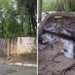 Corpo em avançado estado de decomposição é encontrado em Ribeirão das Neves