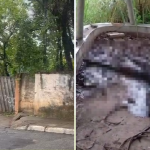Corpo em avançado estado de decomposição é encontrado em Ribeirão das Neves