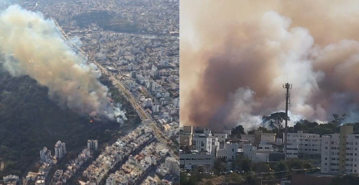 Vídeo: incêndio de grandes proporções atinge parque no Castelo, em BH