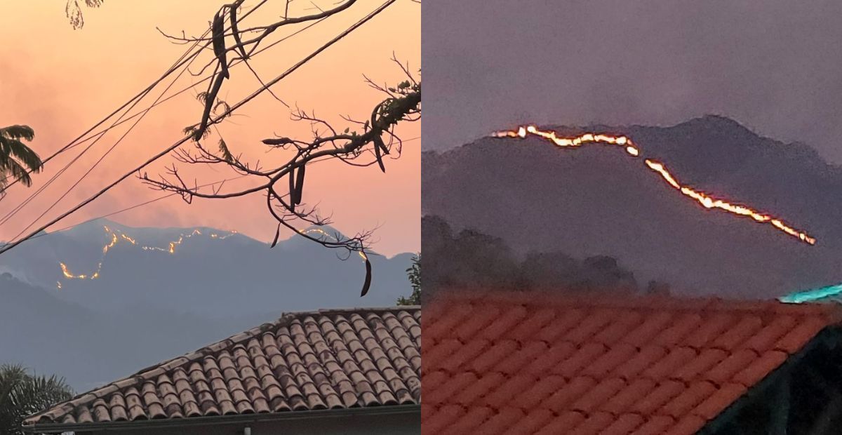 Fogo na MG-30 em Nova Lima, na Grande BH, queimou cerca de 16 campos de futebol
