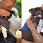 Ex-BBB Cezar Black anuncia a morte do cachorro Rocco