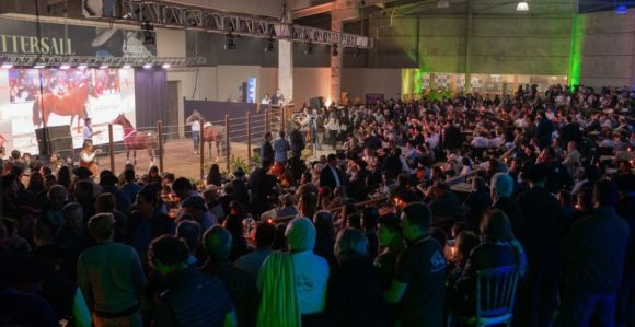 Leilão de cavalos Crioulos