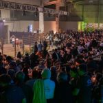 Apesar de tragédia gaúcha, raça Crioula movimenta mais de R$ 122 milhões em leilões em 2024