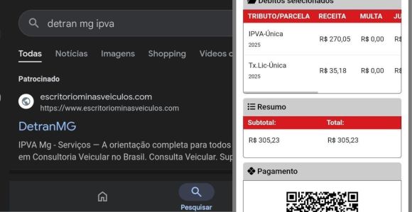 Imagens mostram site usado por golpista para desviar pagamentos