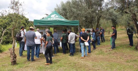 Estações de campo da Azeitech 2023