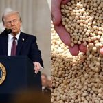 Como o governo Trump pode impactar o agro brasileiro?