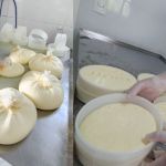 Quanto custa regularizar uma queijaria? Projeto 'Queijo Minas Legal' ajuda produtores informais