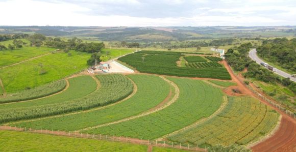 Campo Experimental da Satis em Araxá, no Triângulo Mineiro
