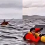 Baleia 'engole' e solta jovem que andava de caiaque no Chile