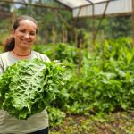 Minas investe na agricultura familiar para alimentação escolar pelo Pnae