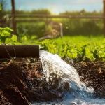 Declaração Anual de Uso de Recursos Hídricos: prazo vai até 31 de março