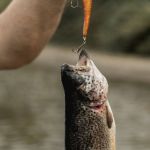 Fim da piracema: estados brasileiros abrem a temporada de pesca 2025