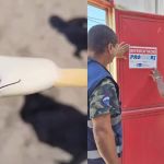 Fábrica é interditada após consumidor encontrar barata em picolé no RJ