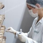 Estudo inédito vai mapear o 'DNA' do Queijo Minas Artesanal do Serro; entenda