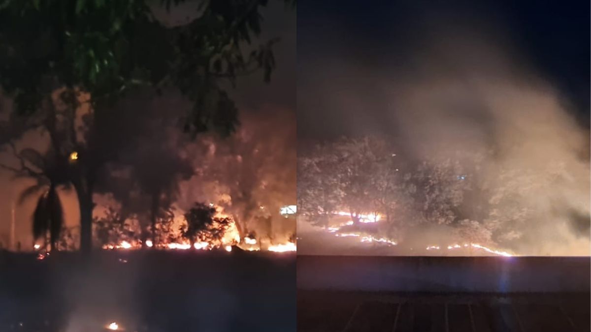 Incêndio atinge vegetação perto do campus da UFV em Florestal (MG)