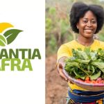 Garantia Safra 2025: veja tudo que você precisa saber para receber o benefício