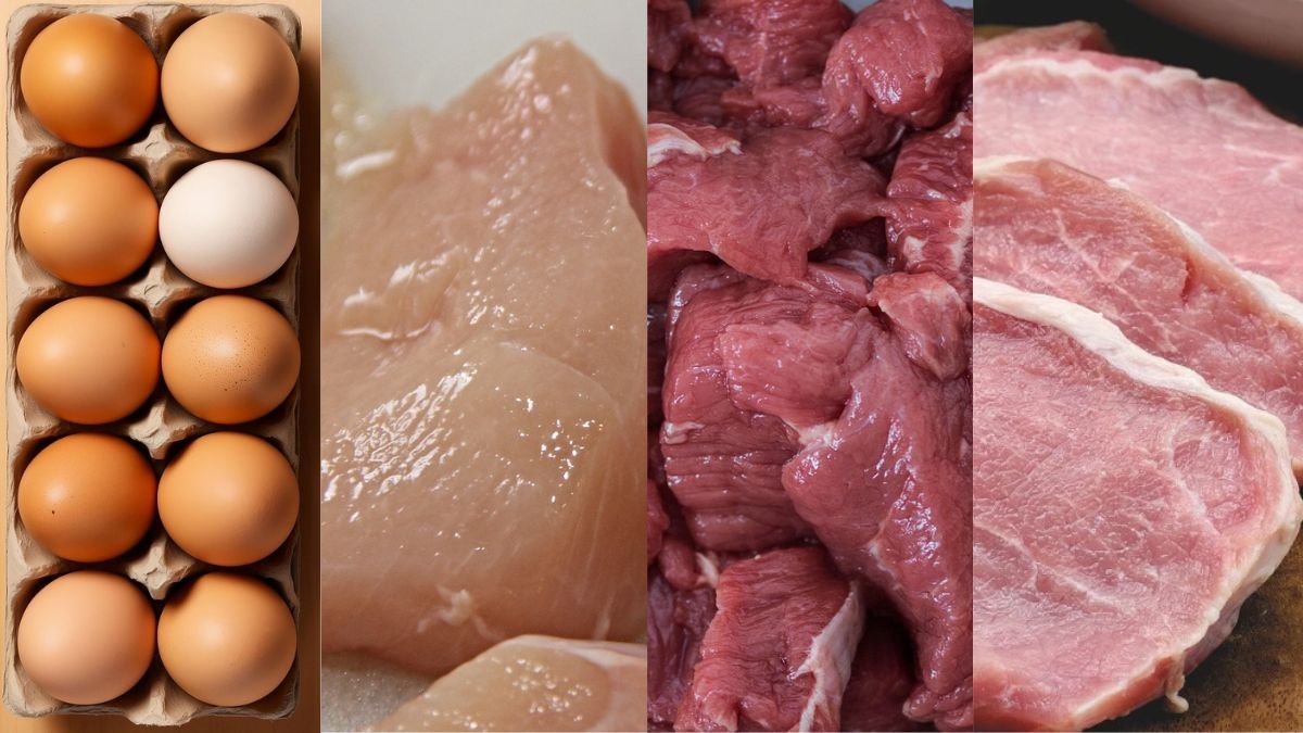 Brasil bateu recorde na produção de ovos, abate de bovinos, frango e porco em 2024