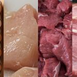 Brasil bateu recorde na produção de ovos, abate de bovinos, frango e porco em 2024