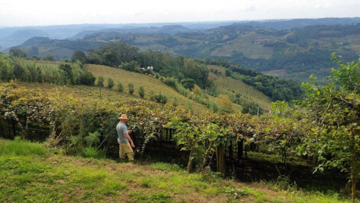 Produtores rurais do RS sofrem com alta no custo de produção em 2025