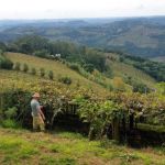 Produtores rurais do RS sofrem com alta no custo de produção em 2025