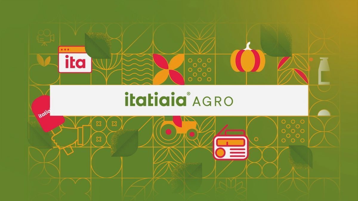 Itatiaia Agro apresenta série especial 'Na rota e no rastro da sonegação'