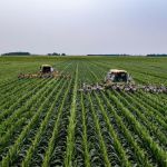 No primeiro bimestre de 2026, o agronegócio será destaque no Itatiaia Eloos