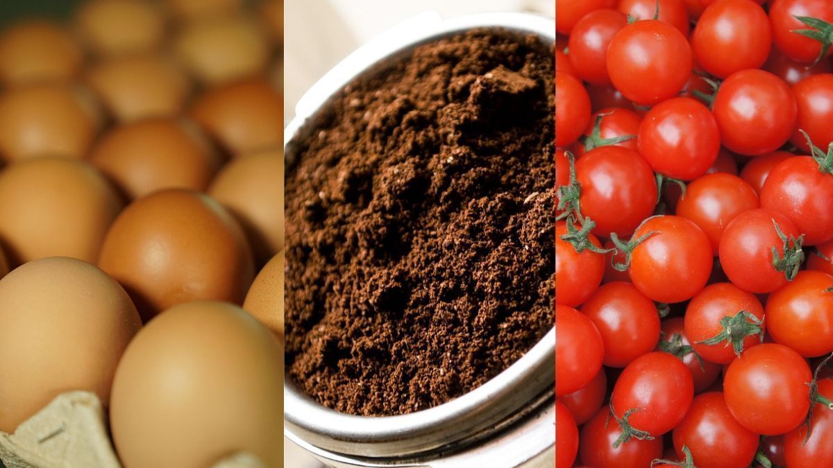 Tomate, ovo e café puxam alta da inflação em 0,56% em março, diz IBGE