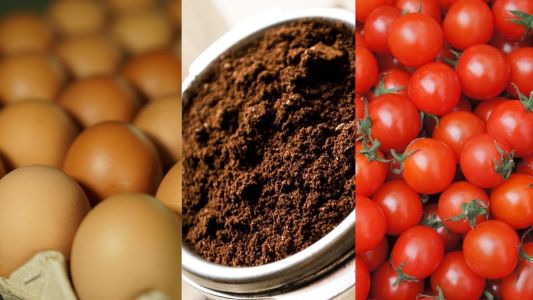 Ovos, café moído e tomates