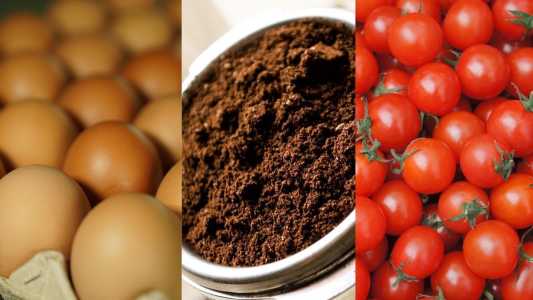 Ovos, café moído e tomates