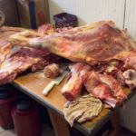 Corante vermelho em carne estragada é usado para simular proteína fresca em SC