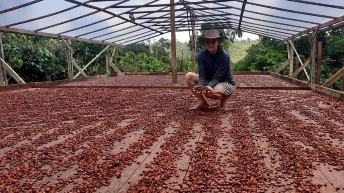 Primeiro Selo Artesanal de Chocolate é emitido no Pará para empreendimento familiar