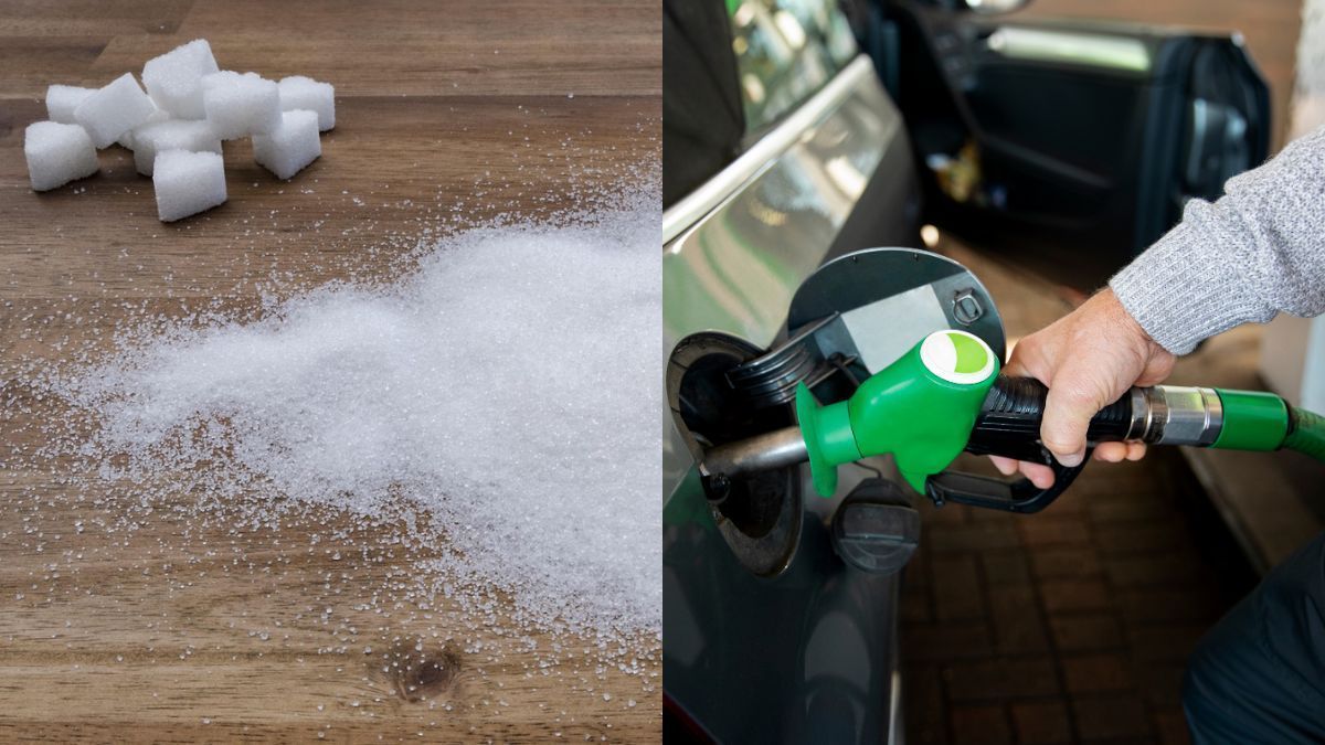 Preço do açúcar cai enquanto etanol sobe em julho